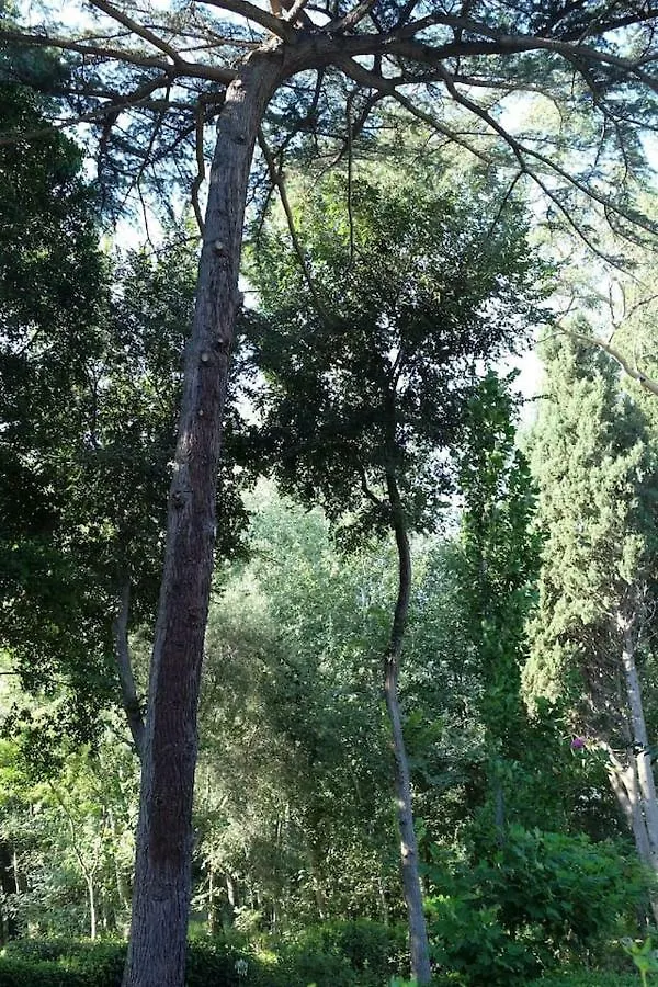 Suite A Villa D'Orri Sarroch